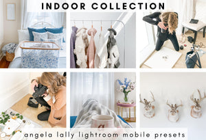 INDOOR COLLECTION: 9 Indoor Angela Lally Presets